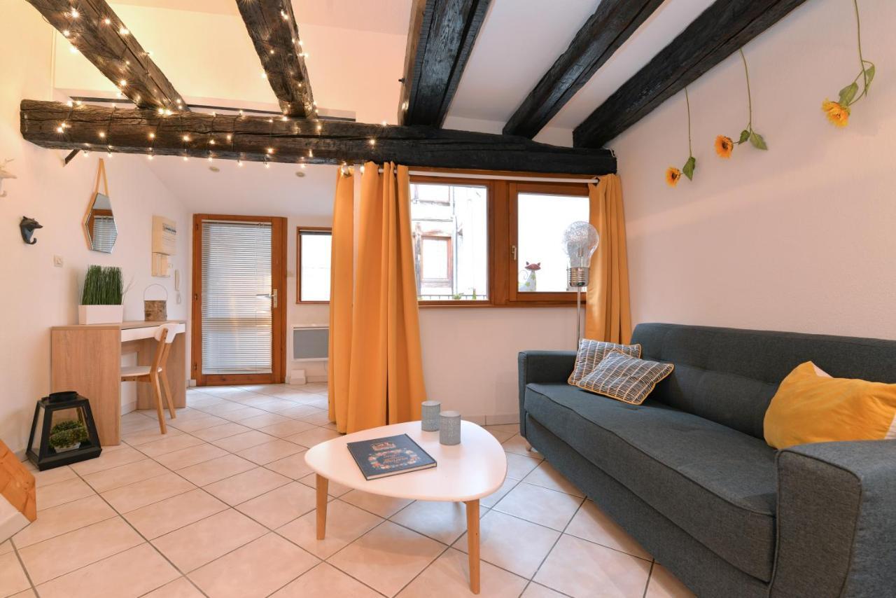 Appartement La Terrasse Sur Cour Colmar Exteriér fotografie