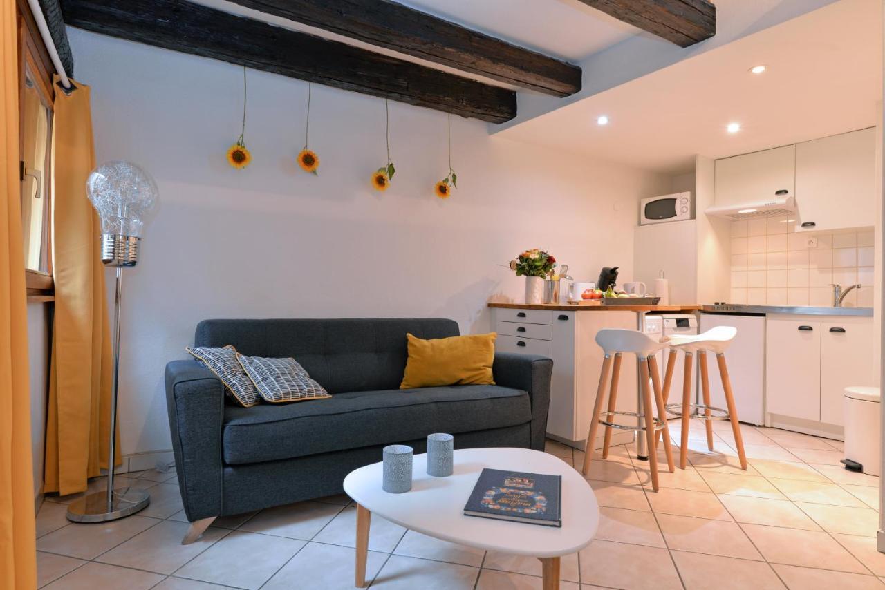 Appartement La Terrasse Sur Cour Colmar Exteriér fotografie